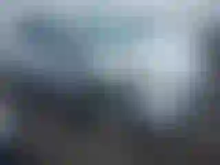 Vehicle Image- 2013 Ford Escape