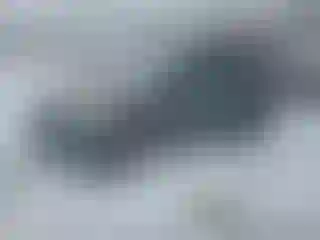 Vehicle Image- 2013 Ford Escape