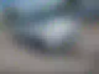 Vehicle Image- 2013 Ford Escape