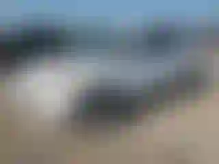 Vehicle Image- 2014 Ford Escape