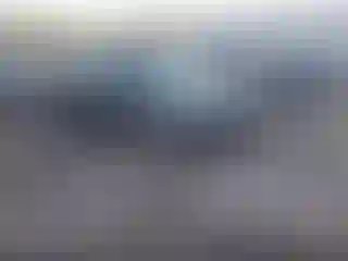 Vehicle Image- 2016 Ford Escape