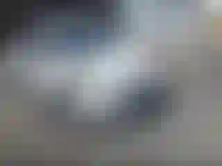 Vehicle Image- 2014 Ford Escape