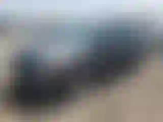 Vehicle Image- 2015 Ford Escape