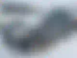 Vehicle Image- 2016 Ford Escape