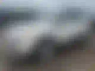 Vehicle Image- 2013 Ford Escape