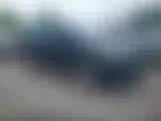Vehicle Image- 2014 Ford Escape