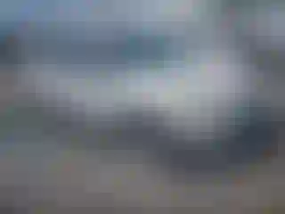 Vehicle Image- 2014 Ford Escape