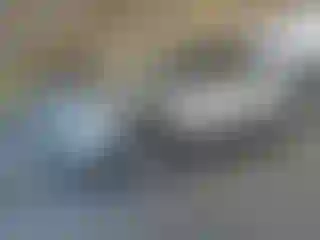 Vehicle Image- 2014 Ford Escape