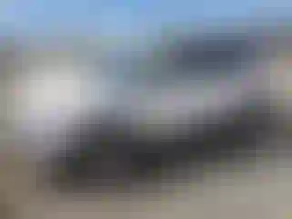 Vehicle Image- 2015 Ford Escape
