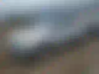 Vehicle Image- 2016 Ford Escape