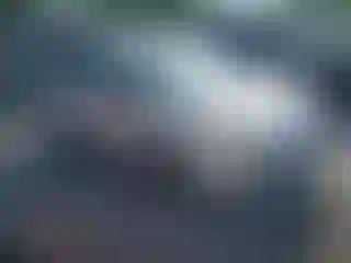 Vehicle Image- 2013 Ford Escape
