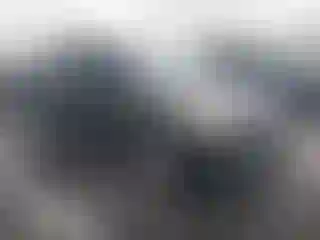 Vehicle Image- 2013 Ford Escape