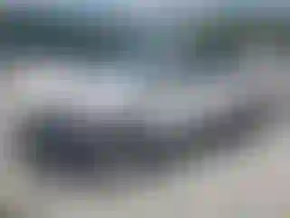 Vehicle Image- 2014 Ford Escape