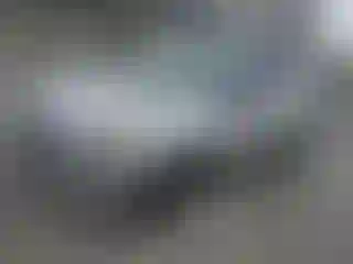 Vehicle Image- 2014 Ford Escape