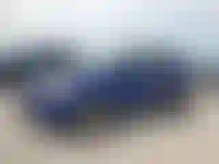 Vehicle Image- 2016 Ford Escape