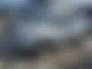 Vehicle Image- 2016 Ford Escape