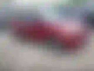 Vehicle Image- 2014 Ford Escape
