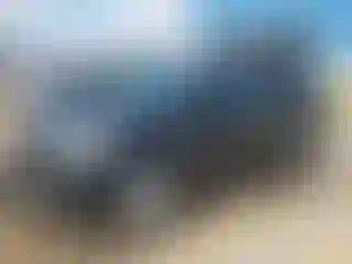 Vehicle Image- 2016 Ford Escape