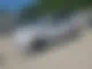 Vehicle Image- 2013 Ford Escape