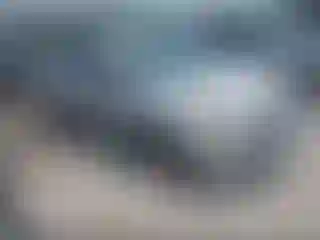 Vehicle Image- 2013 Ford Escape