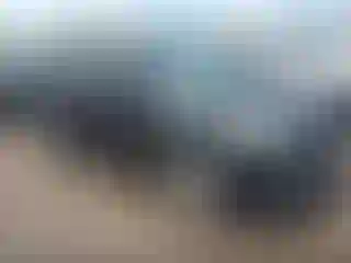 Vehicle Image- 2013 Ford Escape