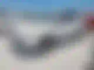 Vehicle Image- 2014 Ford Escape