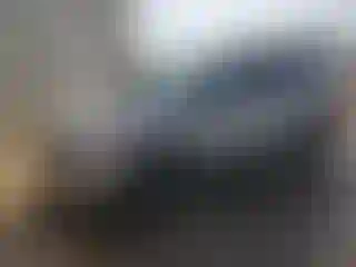 Vehicle Image- 2014 Ford Escape