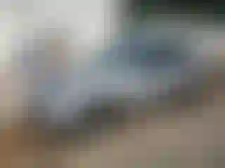 Vehicle Image- 2020 Ford Escape