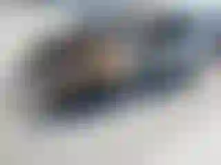 Vehicle Image- 2022 Ford Escape