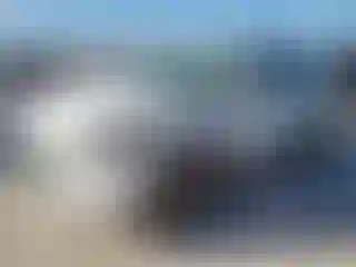 Vehicle Image- 2020 Ford Escape
