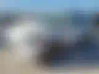 Vehicle Image- 2020 Ford Escape
