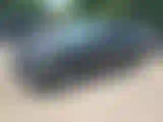 Vehicle Image- 2022 Ford Escape