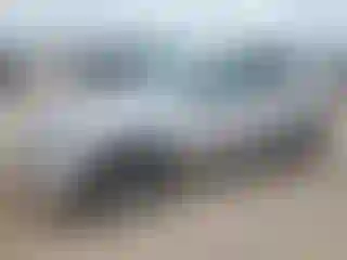 Vehicle Image- 2020 Ford Escape