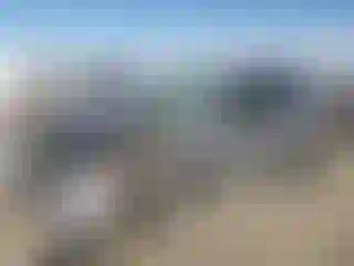Vehicle Image- 2021 Ford Escape