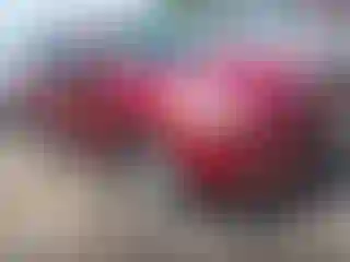 Vehicle Image- 2013 Ford Escape