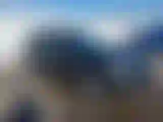 Vehicle Image- 2013 Ford Escape