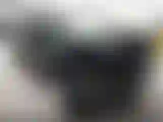 Vehicle Image- 2013 Ford Escape