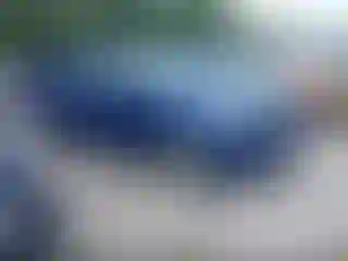 Vehicle Image- 2013 Ford Escape