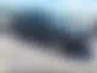 Vehicle Image- 2013 Ford Escape