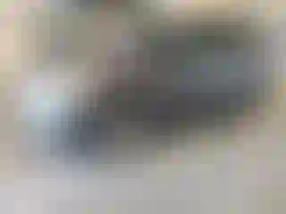 Vehicle Image- 2019 Ford Escape