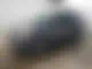 Vehicle Image- 2018 Ford Escape