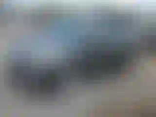 Vehicle Image- 2019 Ford Escape
