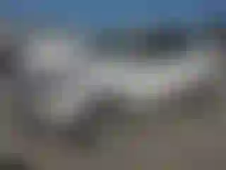 Vehicle Image- 2019 Ford Escape
