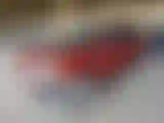 Vehicle Image- 2019 Ford Escape