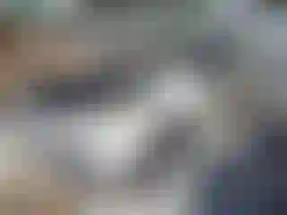 Vehicle Image- 2013 Ford Escape