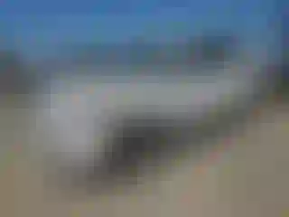 Vehicle Image- 2013 Ford Escape