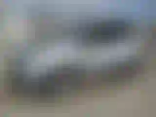 Vehicle Image- 2013 Ford Escape