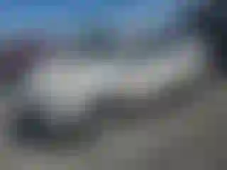 Vehicle Image- 2013 Ford Escape