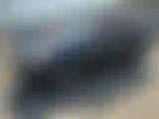 Vehicle Image- 2013 Ford Escape