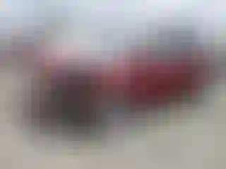Vehicle Image- 2013 Ford Escape